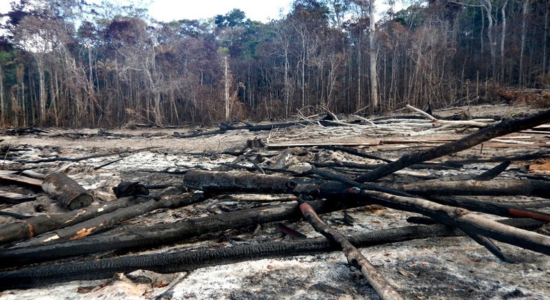 Área de Mata Atlântica desmatada no sul da Bahia em 2015. (Foto: Ibama/Divulgação)